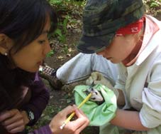 photo showing two scientists checking opossum for ticks which are removed and collected to test for the presence of the Lyme Disease bacterium
