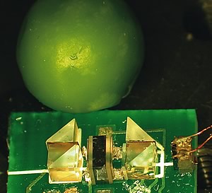 Photo showing the newest chip-scale device—roughly the size of a pea— a spectrometer that can be used for calibrating or stabilizing precision lasers.