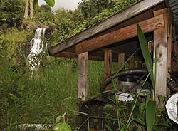 shed-covered power plant and small waterfall in a lush tropical background