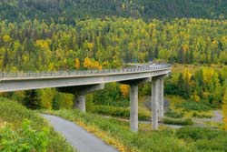 A bridge through a forest