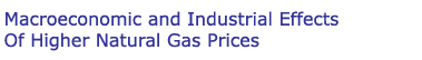 Macroeconomic and Industrial Effects of Higher Natural Gas Prices