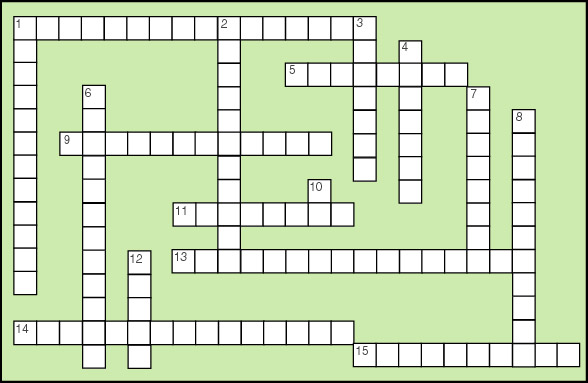 Constitutional Crossword Puzzle
