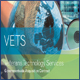 Vets Government Wide Acquisition Contract Logo