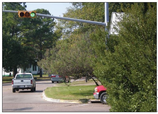 Photo of an intersection where the view of perpendicular oncoming traffic is blocked by overgrown shrubbery on the corner.