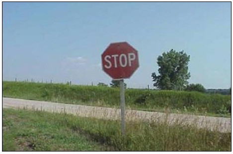 Photo of a stop sign that is leaning to the side, is scarred, is not reflective, and is surrounded by unmowed vegetation.