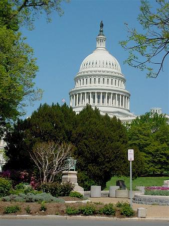 The U.S. Capitol's Dome