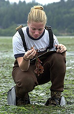 Collecting samples