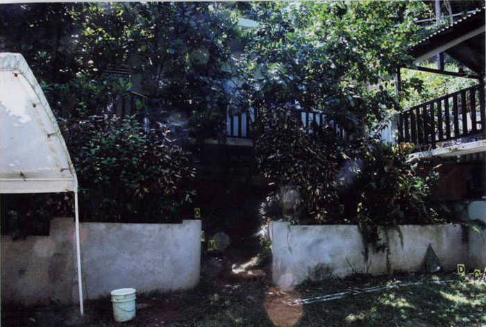 Figure A (Photo of front of residence before foliage was removed).
