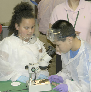 Using a Dissecting Microscope