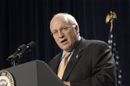 Vice President Cheney speaks
