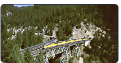 Train traveling over bridge through mountainous pine
forest.