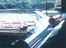 Chain conveyor moving logs from boom pond into mill.
