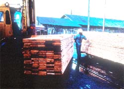 Worker is too close to moving equipment and lumber.