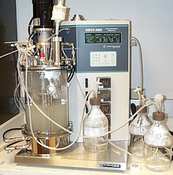 Laboratory-scale (10 liter) bioreactor for removing methyl bromide from the exhaust from fumigation operations. The fermenter contains 3 x 10 12 cells of methylotrophic bacteria, Aminobacter ciceronei, capable of oxidizing 0.12 g of methyl bromide per hour