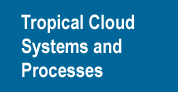 Tropical Cloud Systems and Processes