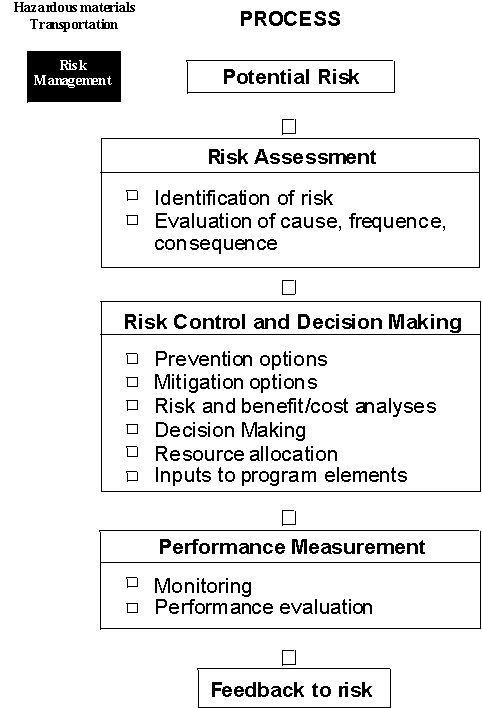 Risk Process Flow Chart