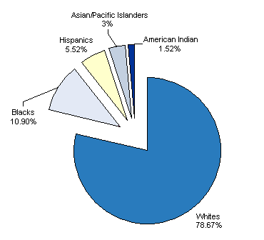 Pie Chart of Department of Transportation Workforce