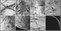 Europa Imaging Highlights during GEM