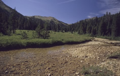 Fisher Creek in the New World mining district, Montana, near Yellowstone National Park. Fisher Creek is the site of a study of how chemistry changes as water moves downstream