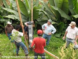 image of people helping plant