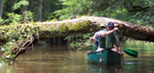Canoeing on Cedar Creek