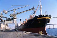 Cargo ship and cranes