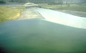 Gray sediment-choked Toutle River enters Cowlitz River downstream from Mount St. Helens