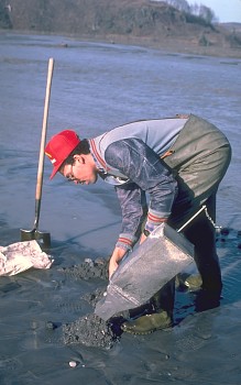 Scientists measuring sediment discharge from a cableway, Toutle River, Washington