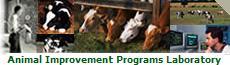 Animal Improvement Programs Site Logo
