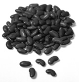 Picture of dried kidney beans
