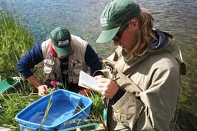 Ryan Beatty, SCA and Derek Wilson, USGS recording data from rainbow trout