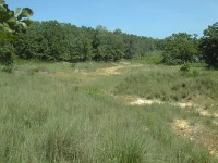 Salt scar downhill from the remains of two brine pits at Site A by Skiatook Lake, Okla. Grasses and weeds have partly revegetated the area. Grasses are sparse, however, and only grow where the salt content of the soil is not high