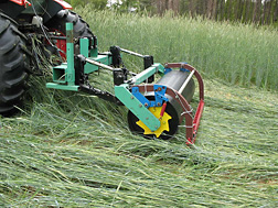 Photo: Roller with smooth drum smashes down a rye cover crop. Link to photo information