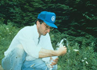 USGS scientist collecting a ground-water sample for a study of the water chemistry of a fractured-rock aquifer