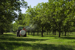 Compost tea is sprayed on the organic trees once every 6 weeks throughout the growing season: Click here for full photo caption.