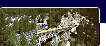 Train traveling over bridge through mountainous pine
forest.
