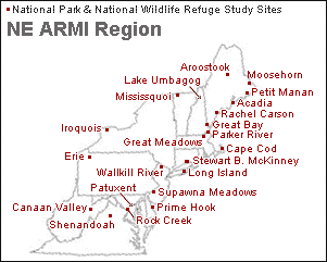 Region Map