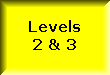 Advanced CERT Levels
