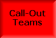 Division Call-Out System
