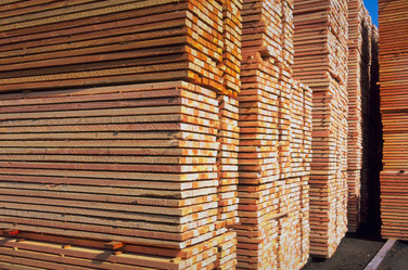Softwood lumber awaiting shipment. Photo © Softwood Export Council. Used with permission.