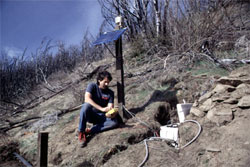 Testing the solar-powered radio telemetry system used for real-time monitoring