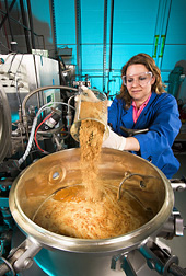 Technician adds nutrients to a 100-liter fermentor in preparation for a microsclerotia production run using M. anisopliae: Click here for full photo caption.