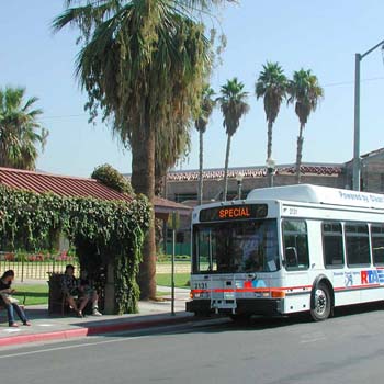 Bus stop