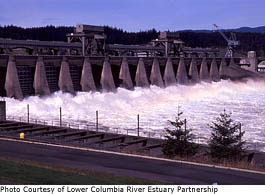 A photo of Bonneville Dam.