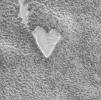 Happy Valentine's Day From Mars!