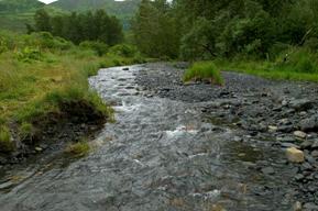 Image of Free-flowing Stream