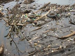 image of water pollution