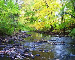 Woodland stream, photo courtesy of Chris Bellucci, Connecticut Dept. of Environmental Protection).