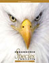 cover of 2007 highlights of endangered species bulletin
