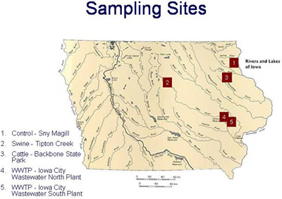 Sampling sites in Iowa